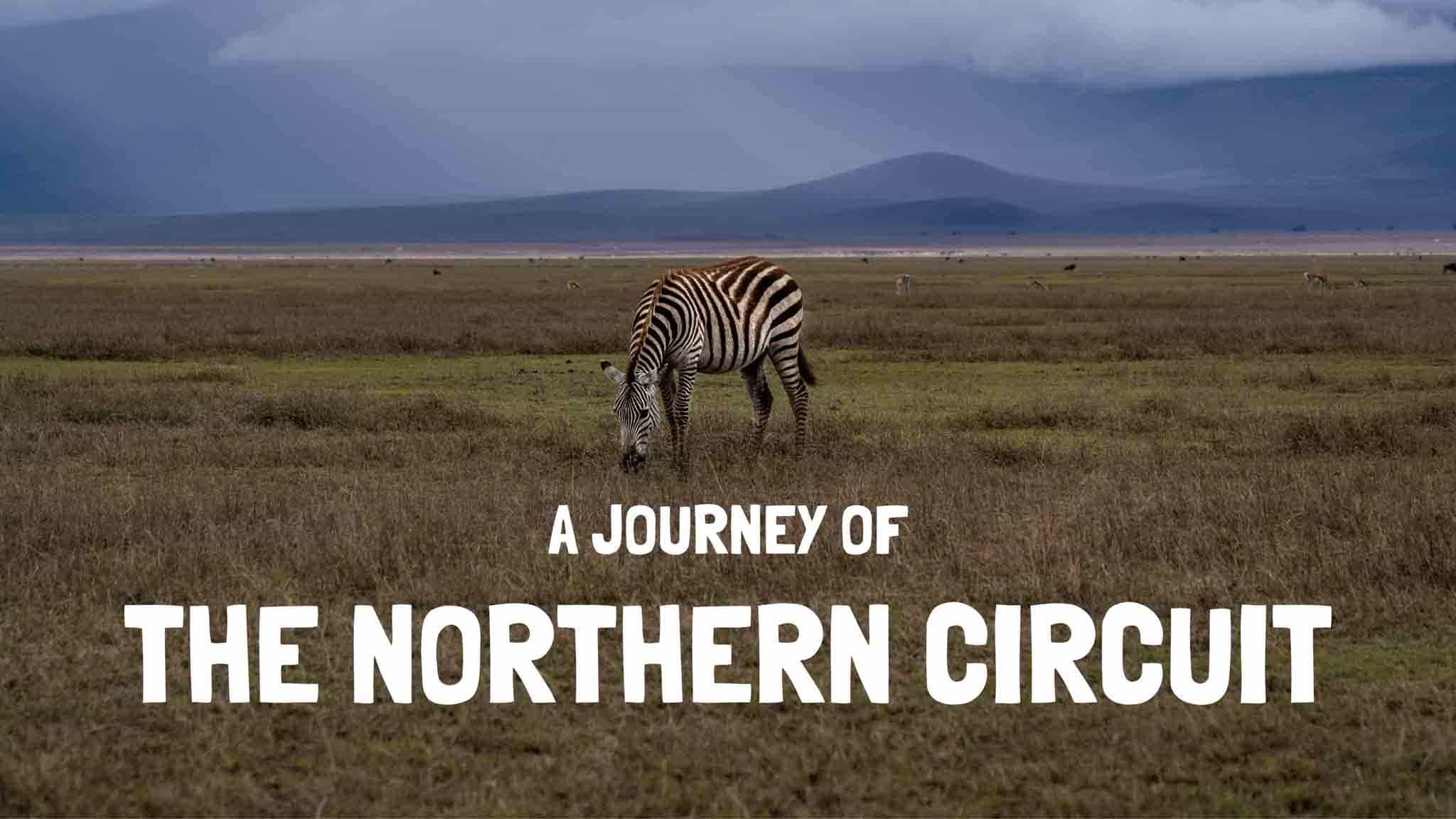 northern circuit safari tanzania