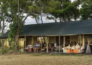 Lemala Mara & Ndutu Tented Camp, Tanzania